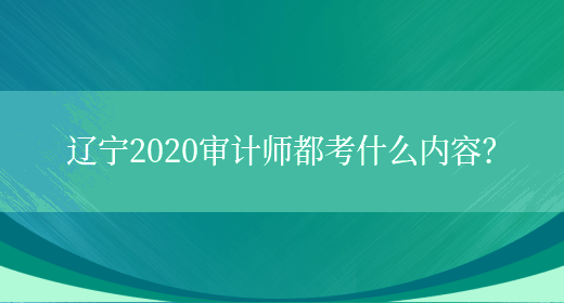 遼寧2020審計師都考什么內容？
