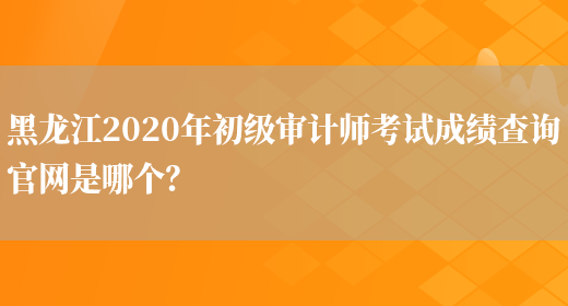 黑龍江2020年初級審計師考試成績查詢官網是哪個？