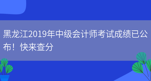 黑龙江2019年中级会计师考试成绩已公布！快来查分