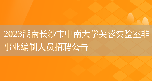2023湖南长沙市中南大学芙蓉实验室非事业编制人员招聘公告